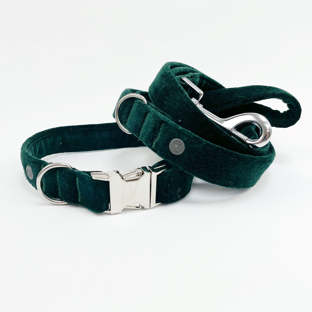 Emerald shops Bea Full Set, Luxury Velvet Dog Accessory